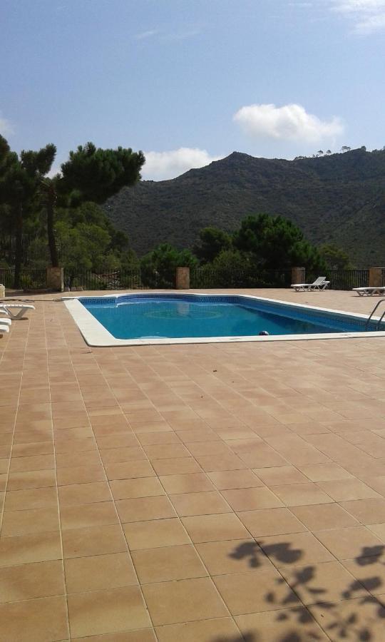 Riviera Apartment Benicàssim Екстериор снимка